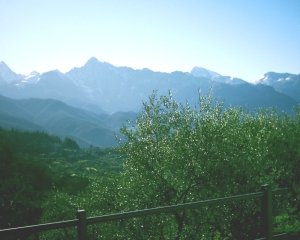 Agriturismo B&B Fratelli Marini